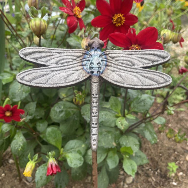5061098722019 1 Decorative Steel Garden Stake Ornament Dragonfly.jpg